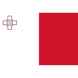 主队